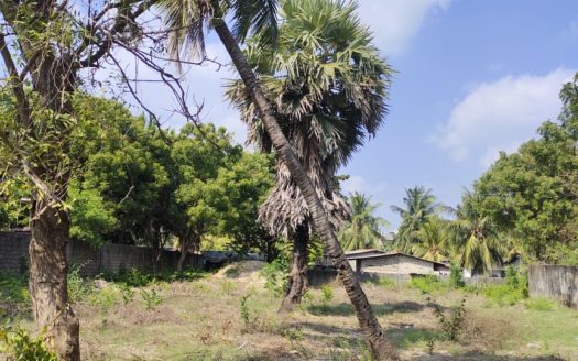 Land for sale in Kurunagar beach road