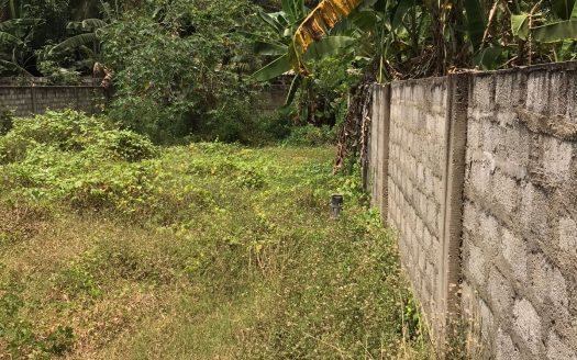 Land for sale in Nallur