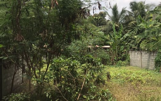 Land for sale in Nallur