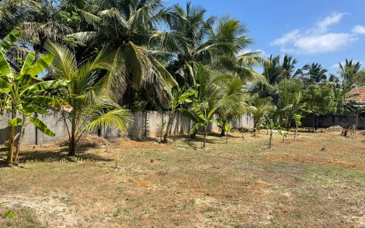Land for sale in front of Ubaya Kathirkamam Temple in Pointpedro