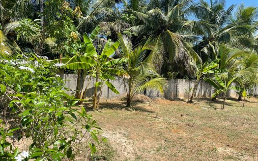 Land for sale in front of Ubaya Kathirkamam Temple in Pointpedro