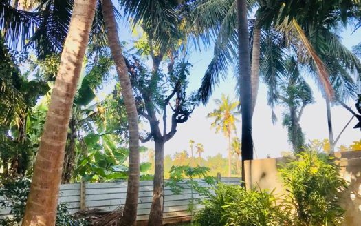 House for sale in Thellipalai