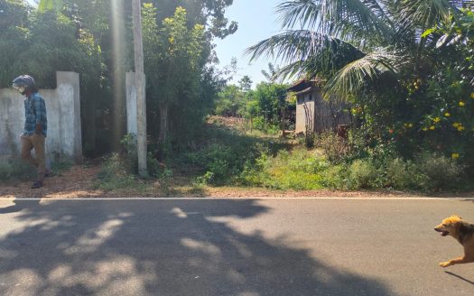 Road facing land for sale in Thaiyiddy