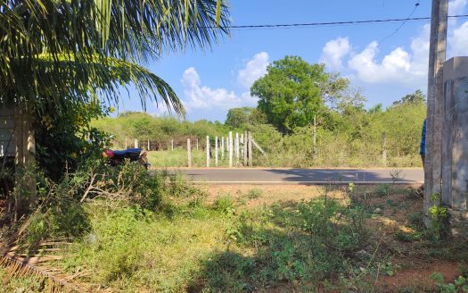 Road facing land for sale in Thaiyiddy