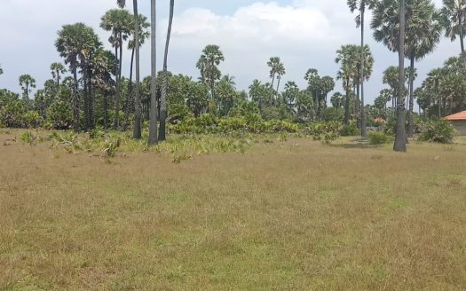 Land for sale in Allaipitti