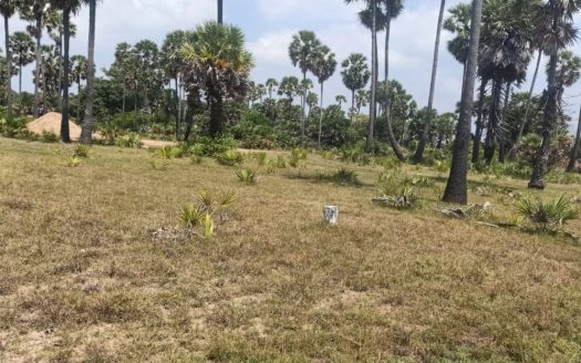 Land for sale in Allaipitti
