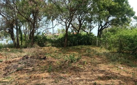 Land for sale in Kankesanthurai Main Road