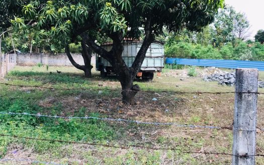 Road facing land for sale in Kopay