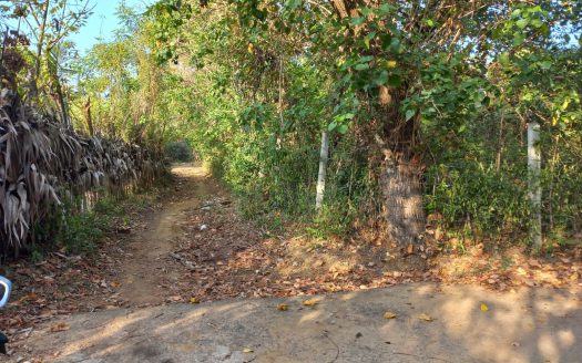 Land for Sale in Utravavaththai Puloli North East near Pallappi Ground (Velayutham Maha Vidyalayam Ground) in Pointpedro