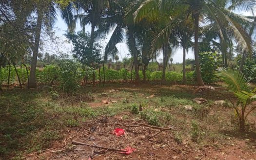 Land for sale in Achechlu North Neerveli.