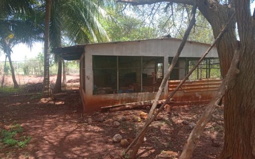 Land for sale in Achechlu North Neerveli.