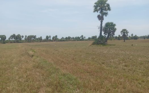 Land for sale in route to Bhuloli Vallipuram temple