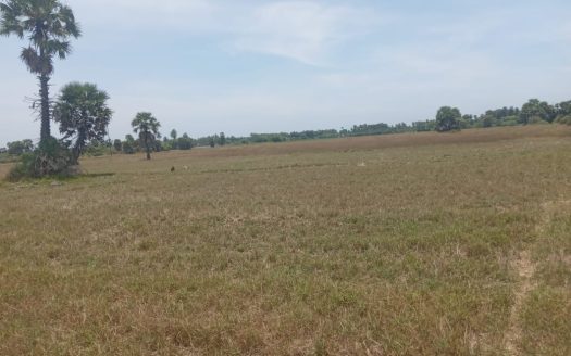 Land for sale in route to Bhuloli Vallipuram temple