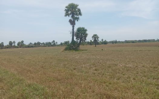 Land for sale in route to Bhuloli Vallipuram temple