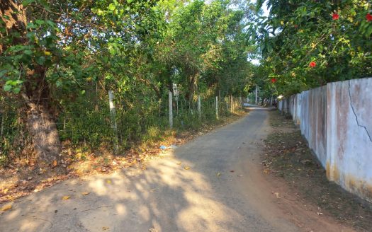 Land for Sale in Utravavaththai Puloli North East near Pallappi Ground (Velayutham Maha Vidyalayam Ground) in Pointpedro