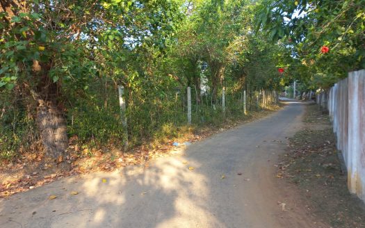 Land for Sale in Utravavaththai Puloli North East near Pallappi Ground (Velayutham Maha Vidyalayam Ground) in Pointpedro