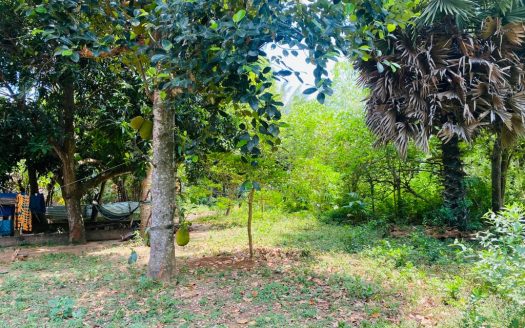 Land with house for sale in Mallakam