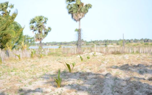 Land for sale in Thanankilappu