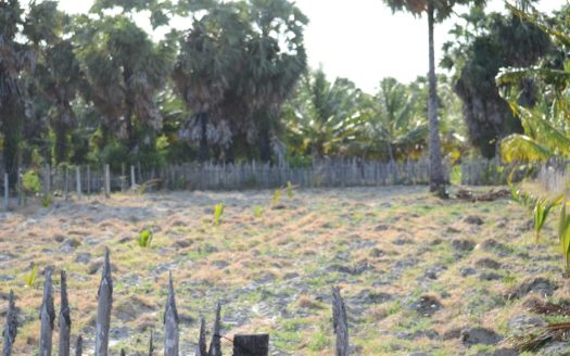 Land for sale in Thanankilappu