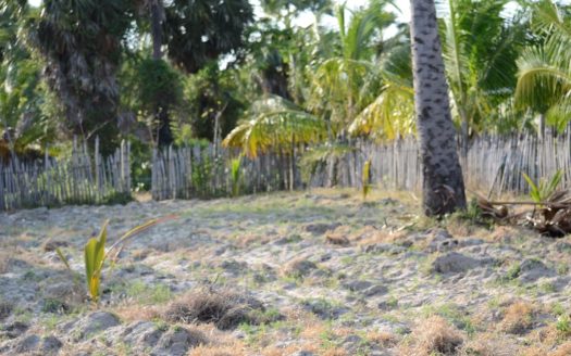 Land for sale in Thanankilappu