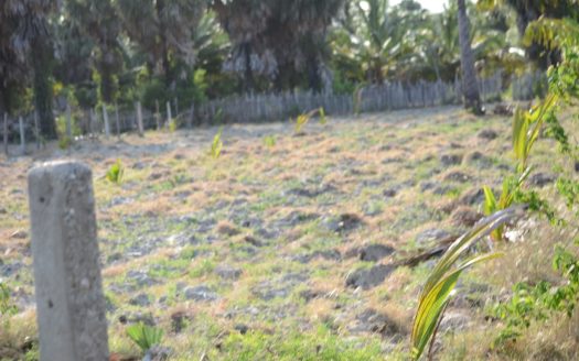 Land for sale in Thanankilappu