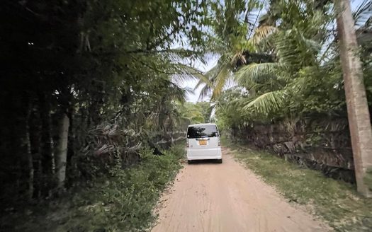 Coconut land for sale in Allarai Kachai road
