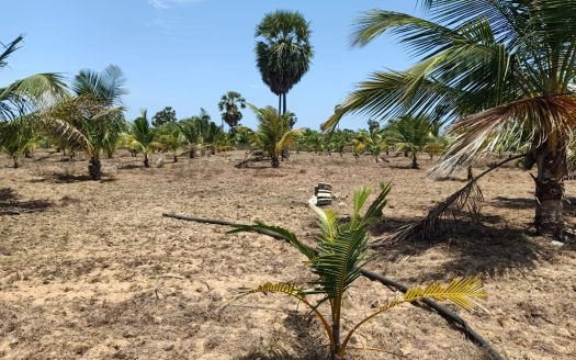Land for sale in iyakkachi