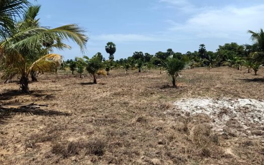Land for sale in iyakkachi