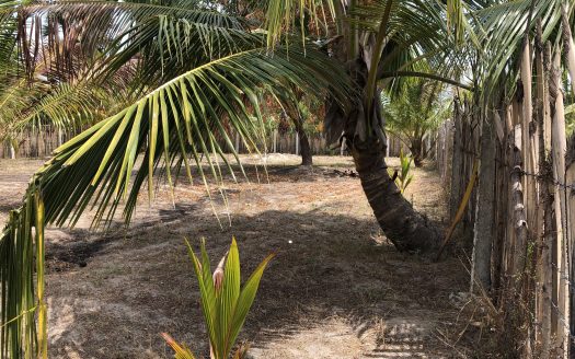 Land for sale in Thanankilappu