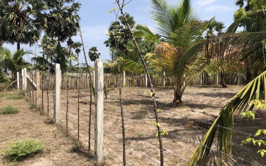 Land for sale in Thanankilappu
