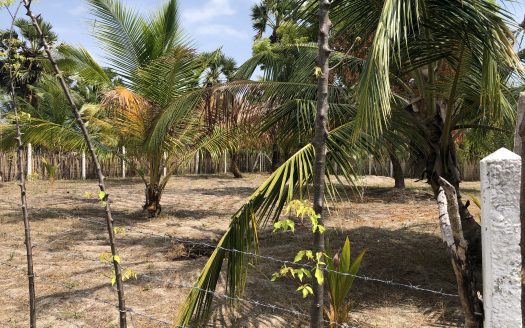 Land for sale in Thanankilappu