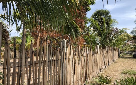 Land for sale in Thanankilappu
