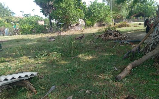 Land for sale in Narantanai (Near Chinnamadu)