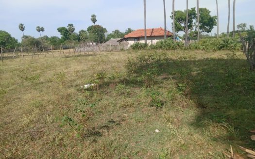 Land for sale in Narantanai (Near Chinnamadu)