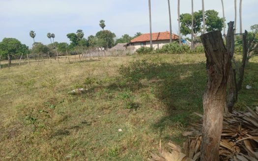Land for sale in Narantanai (Near Chinnamadu)