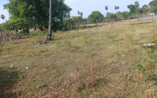 Land for sale in Narantanai (Near Chinnamadu)