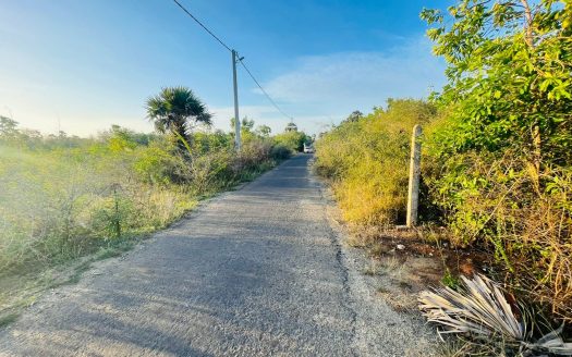 Land for sale in Mavittapuram. (Veemankamam)