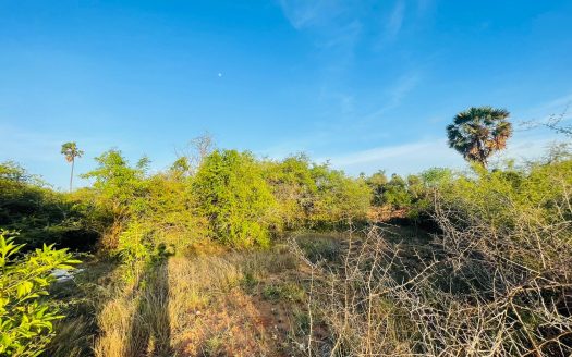 Land for sale in Mavittapuram. (Veemankamam)