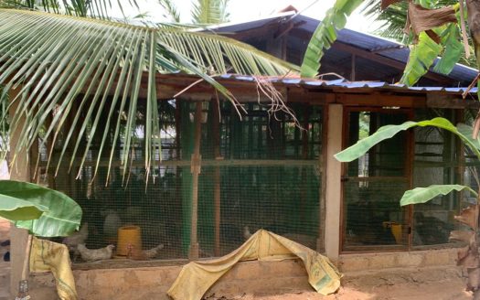 Poultry farm for sale at Moolai,vattukottai