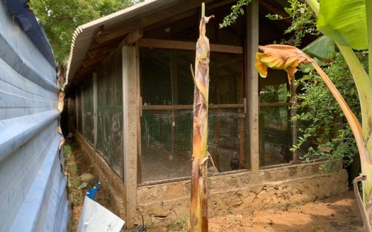 Poultry farm for sale at Moolai,vattukottai
