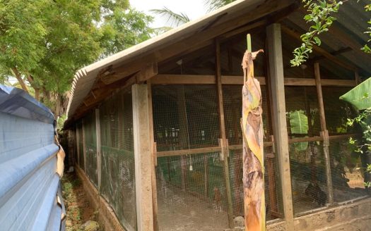 Poultry farm for sale at Moolai,vattukottai