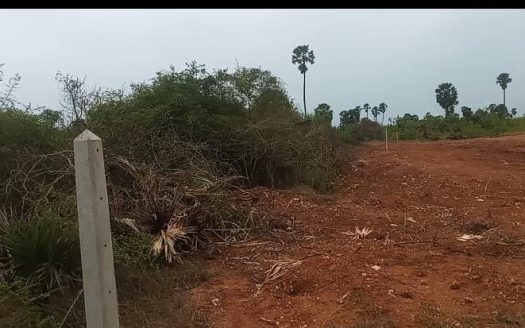 Land for sale in Mavittapuram. (Veemankamam)