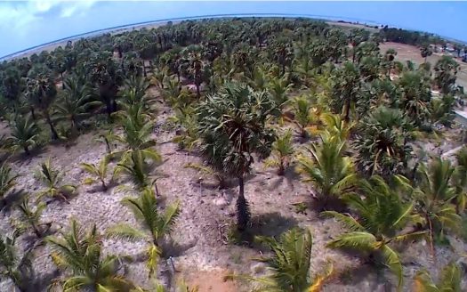 Land for sale in Thanankilappu