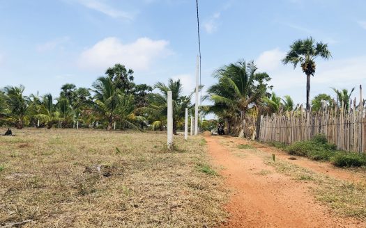 Land for sale in Thanankilappu
