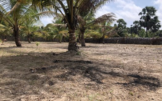 Land for sale in Thanankilappu