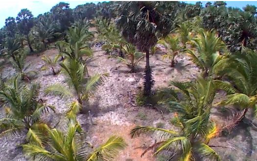 Land for sale in Thanankilappu