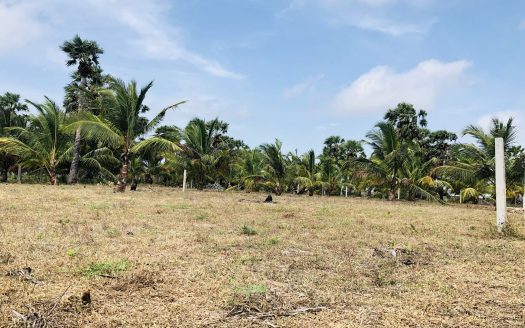 Land for sale in Thanankilappu