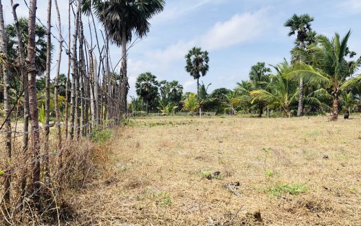 Land for sale in Thanankilappu