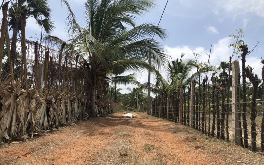 Land for sale in Thanankilappu
