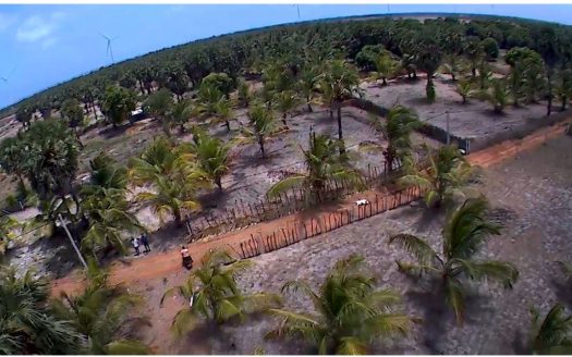 Land for sale in Thanankilappu